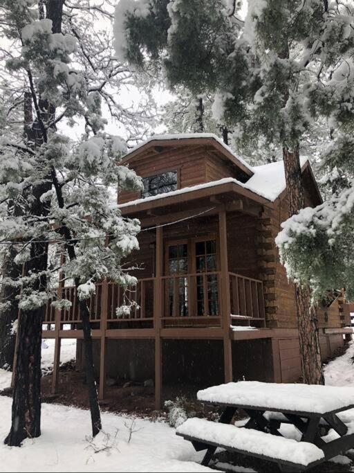 Forest Cabin 2 Birds Nest 佩森 外观 照片
